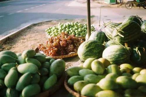 朝阳吃瓜群众一枚 吃瓜网官网免费观看 热门大瓜汇总,吃瓜网官网免费畅享热门大瓜汇总