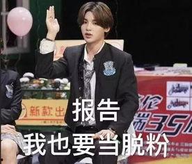 娱乐圈吃瓜代号蜜蜂是谁 明星大侦探第五季,娱乐圈吃瓜代号背后的明星大侦探第五季揭秘